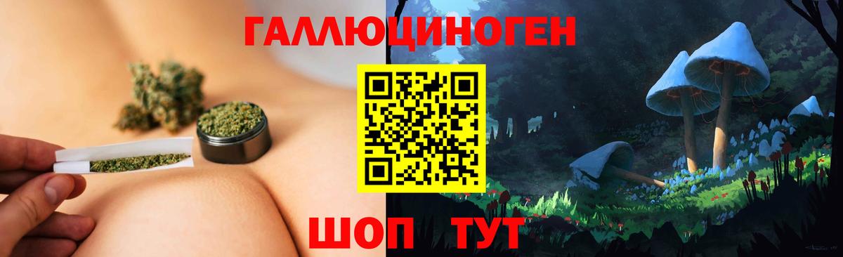 Псилоцибиновые грибы MAGIC MUSHROOMS Алатырь